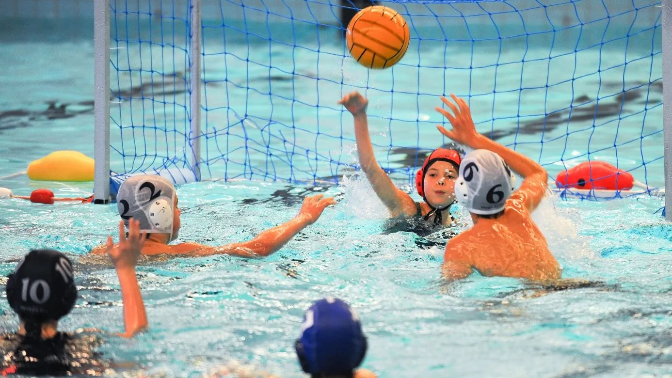 y6x51ktvz8nxltu7ppnzattvd waterpolo