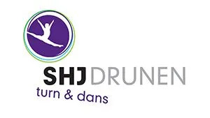 y7o4sumin6hmwrk2nqd4s1zbx logo shj 300x194