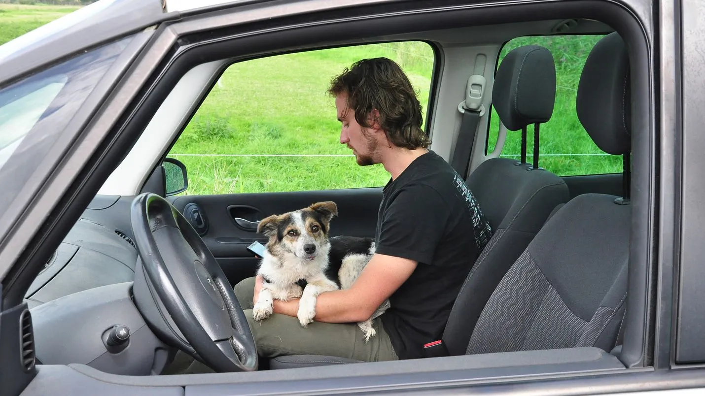 yfncbfc83ttlal2zja6tet52h dsc0922kopie