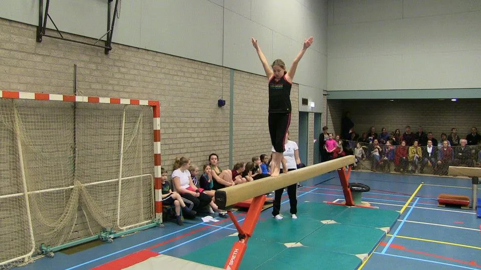 zjw99458v13lnahc1ermjlz23 ww140707inion