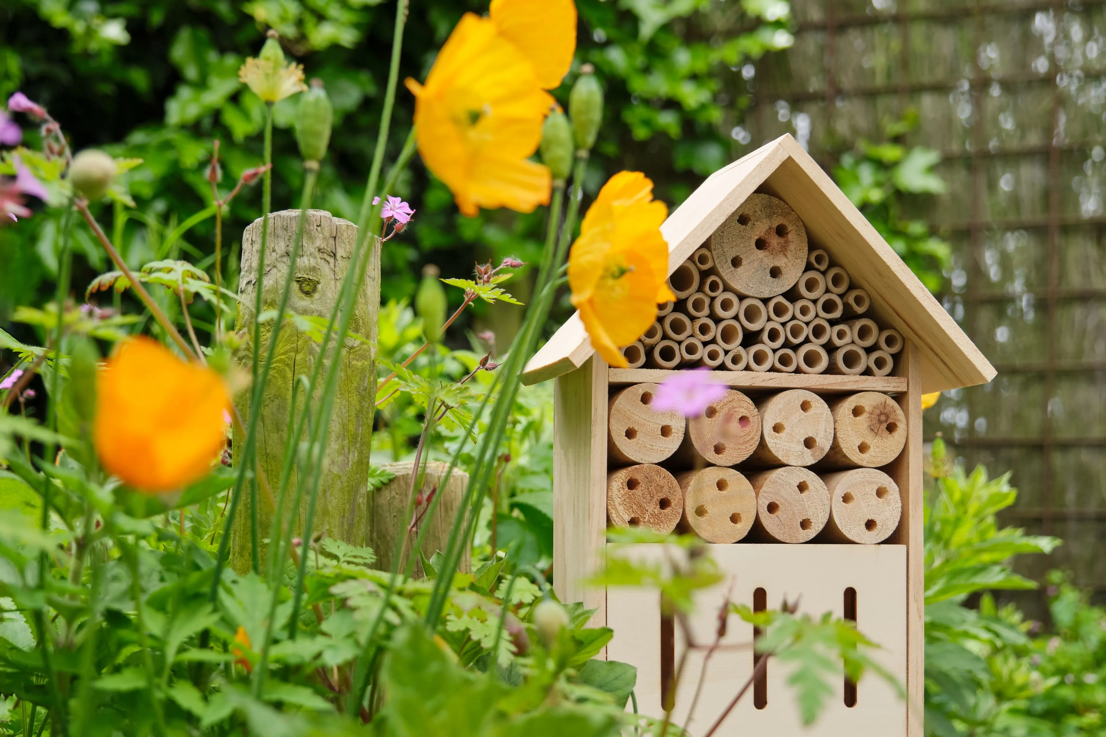 insectenhotel