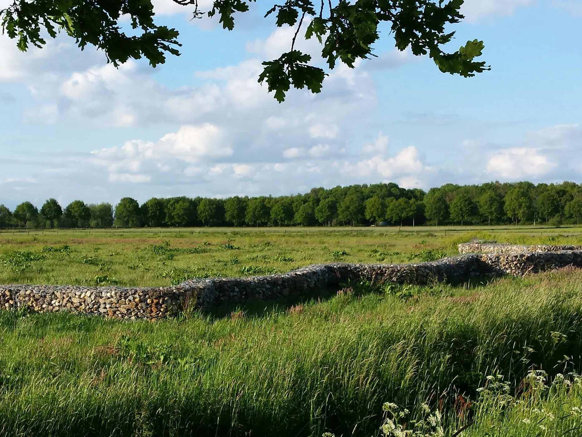 vlijmen biessertpolder 1