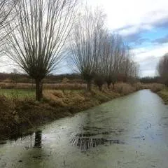 733cf108 c426 4633 9f04 56c2a2f80a3e 1 105 c