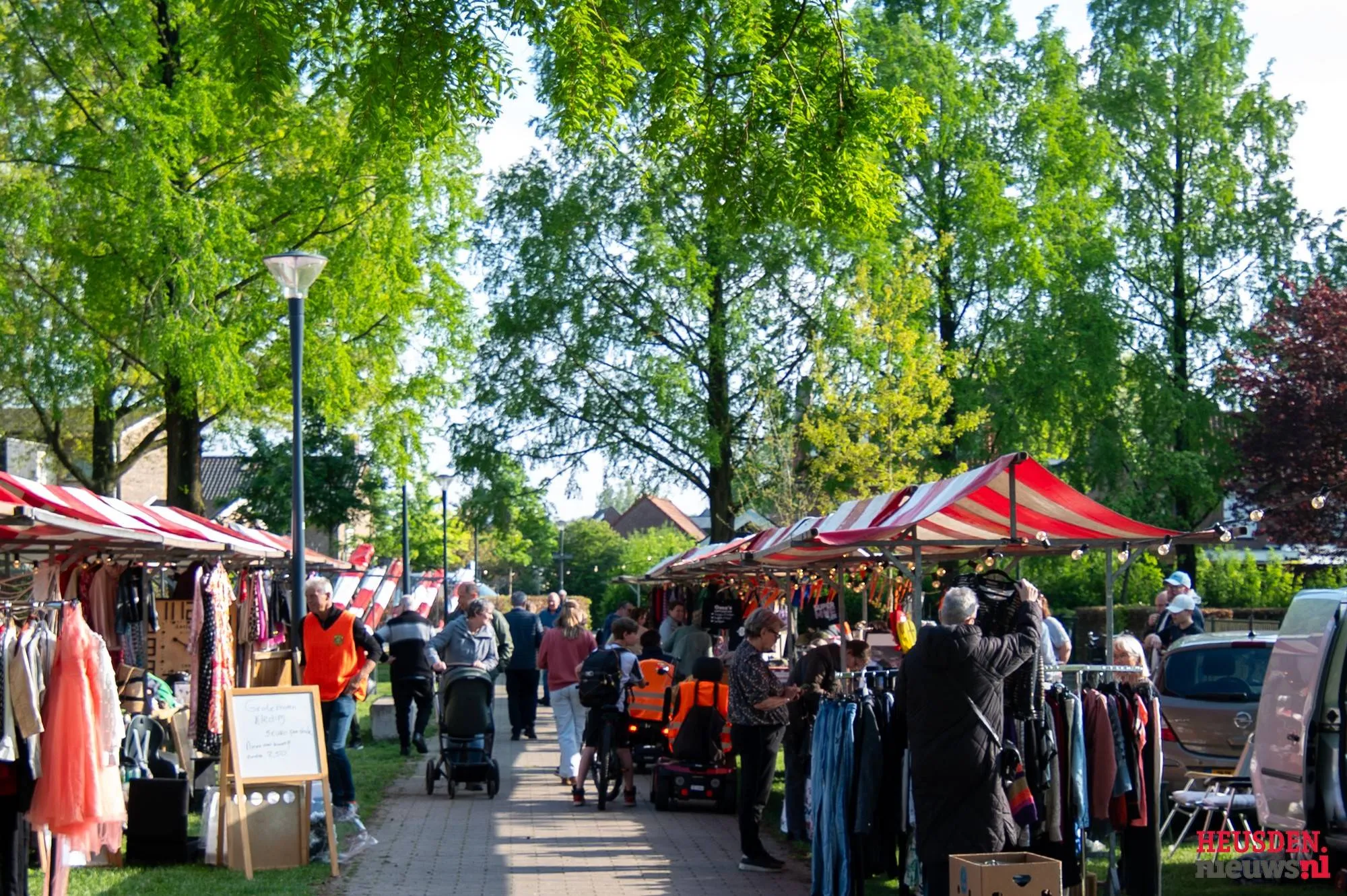 wg5 1196 2025 wil gulpen fotografie