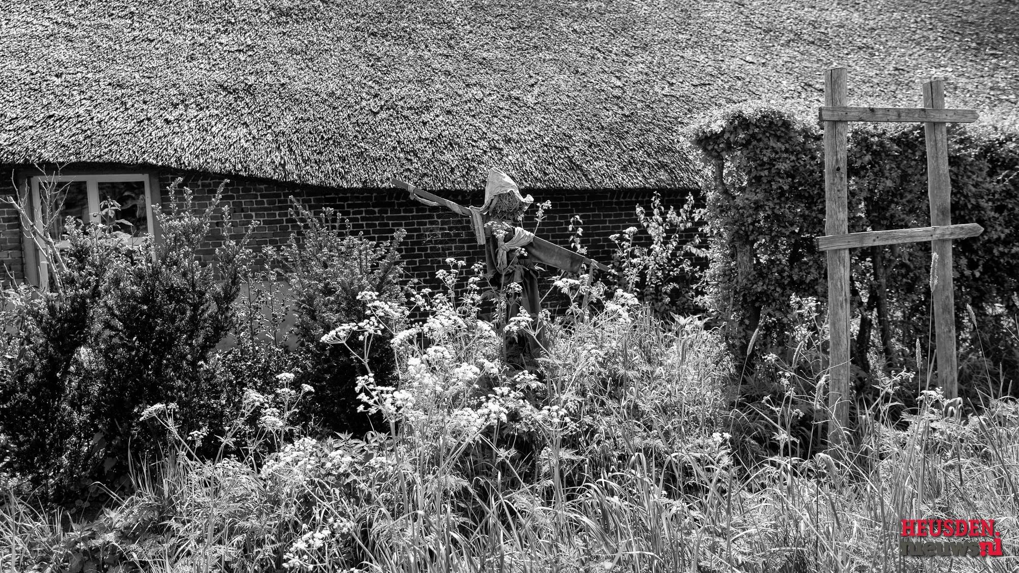 wgz 3892 c2024 wil gulpen fotografie