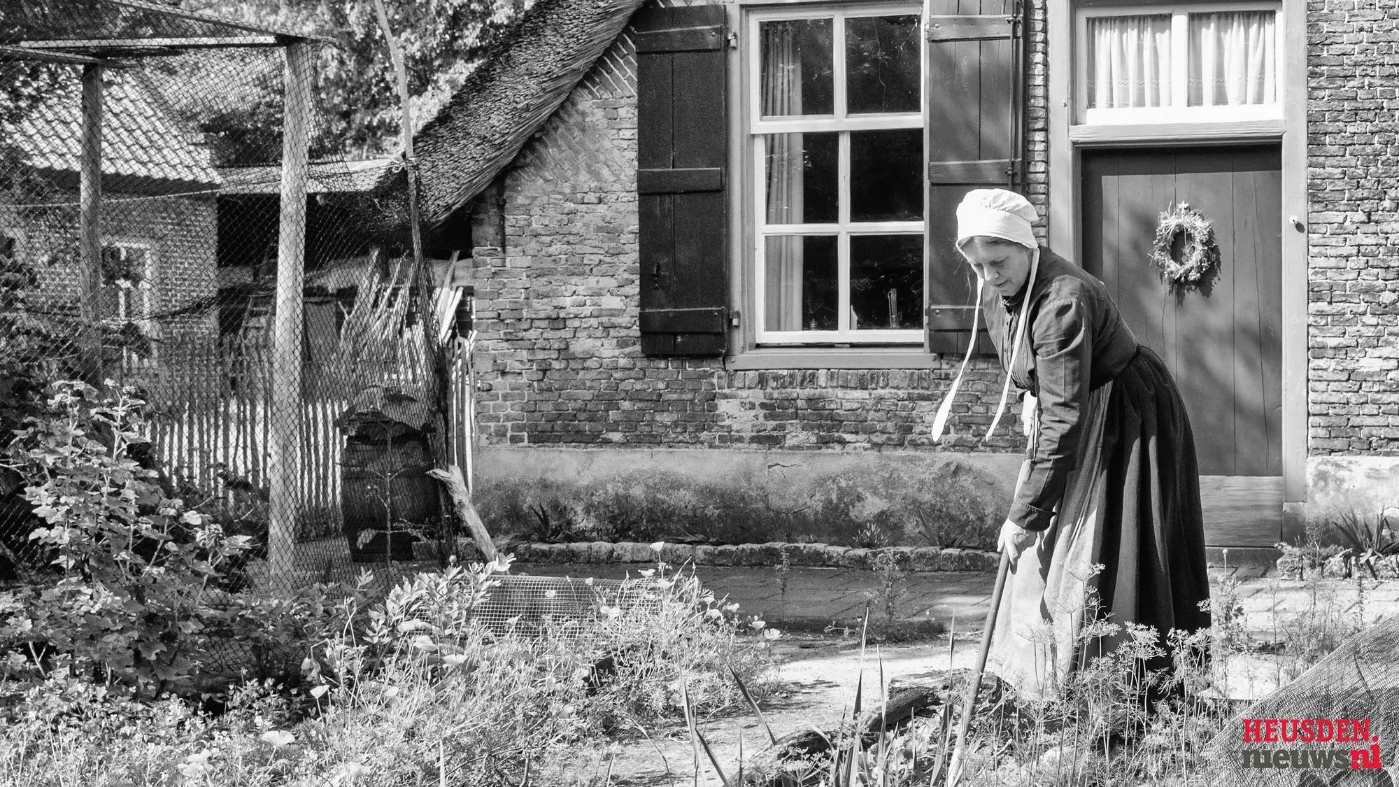 wgz 7111 c2025 wil gulpen fotografie