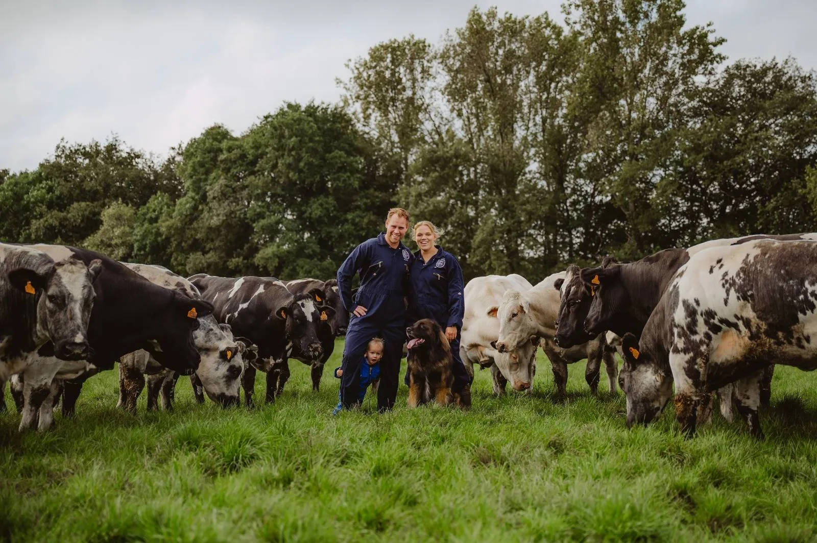 8b800f59 ceb8 45c7 83bb 2cb3719bef94