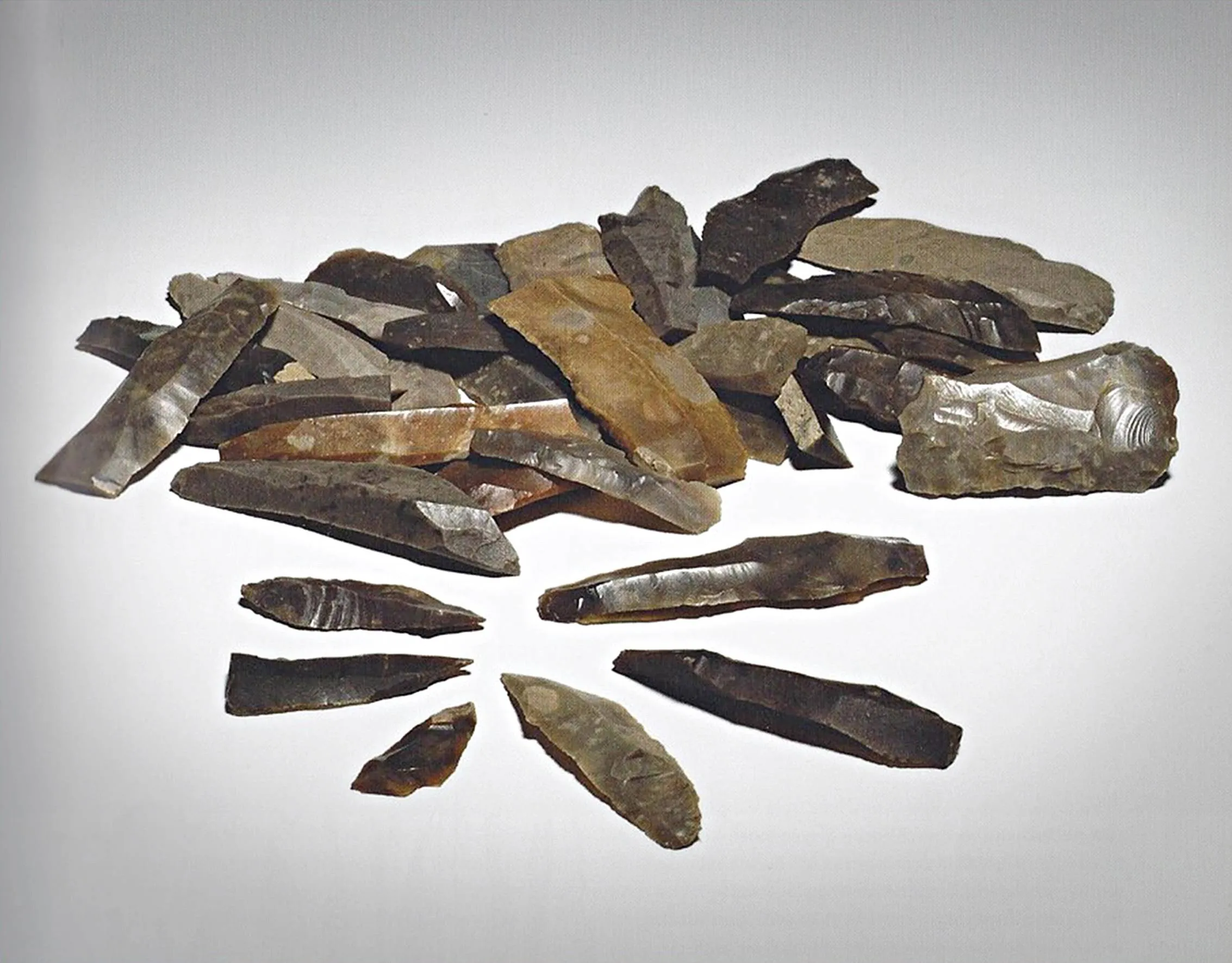 beleef de bieb nationale archeologiedagen