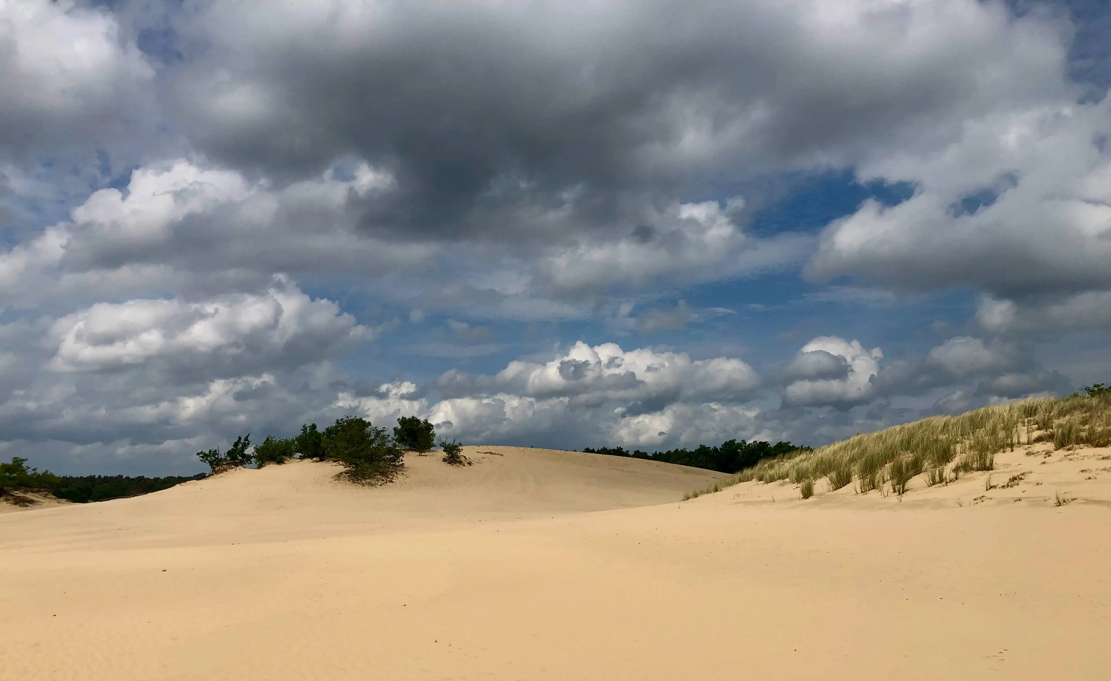 roestelberg 1 donkere wolken boven de duinen 6 7 25