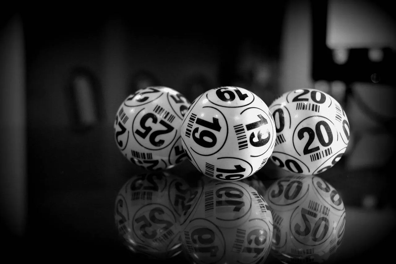 bingo-