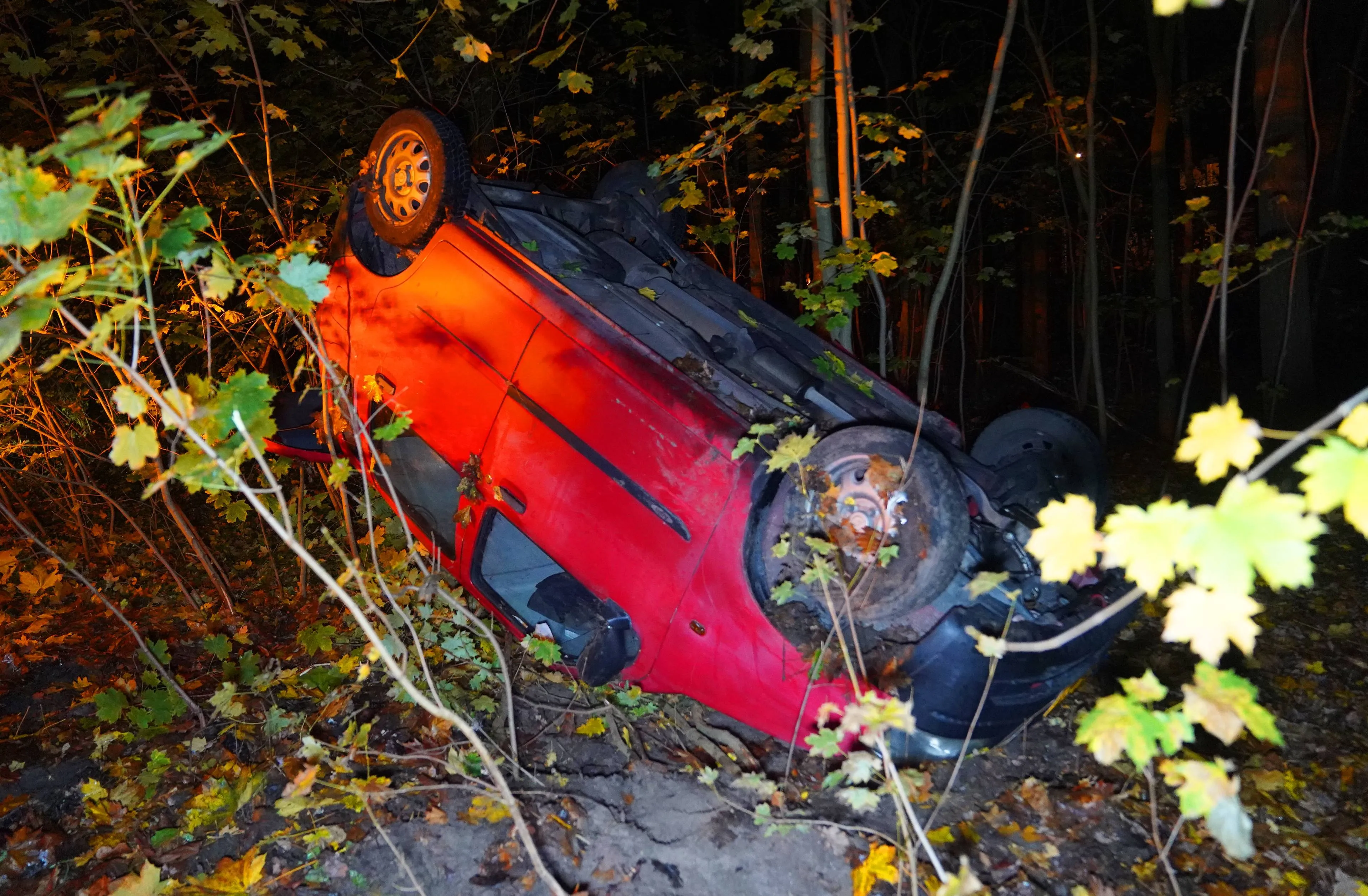 86898239-5b1d-4ea7-9416-916c8025dba4