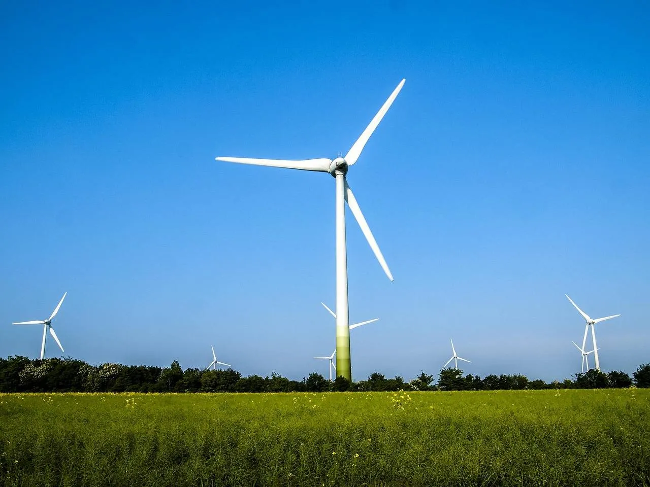 windrader-2404871_1280