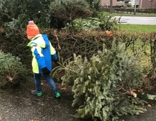 605424931_1385233753644126_1482030120265409237_n