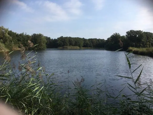 58AF7141-505C-4F7E-B1CD-CB437CAC9D37_1_105_c