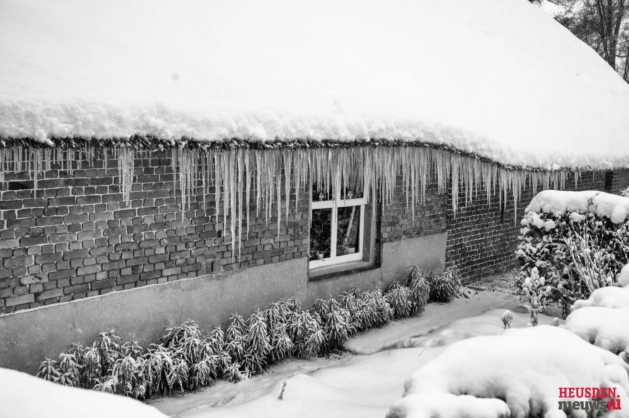 WG6_1168 C2026 Wil Gulpen Fotografie