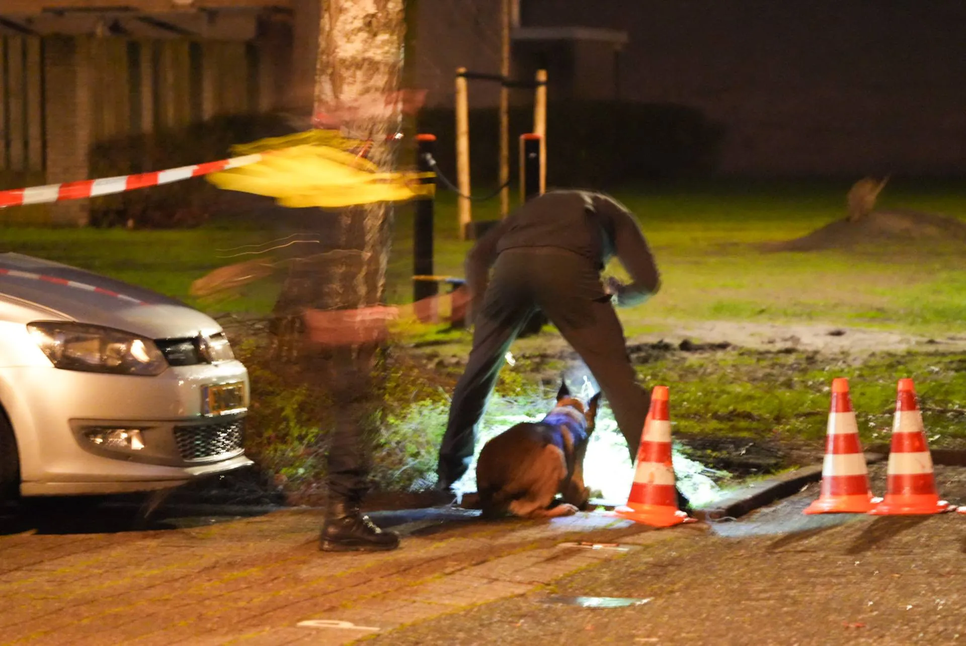 70cbbb9b-2e0c-47d1-9110-6aa3d665d642