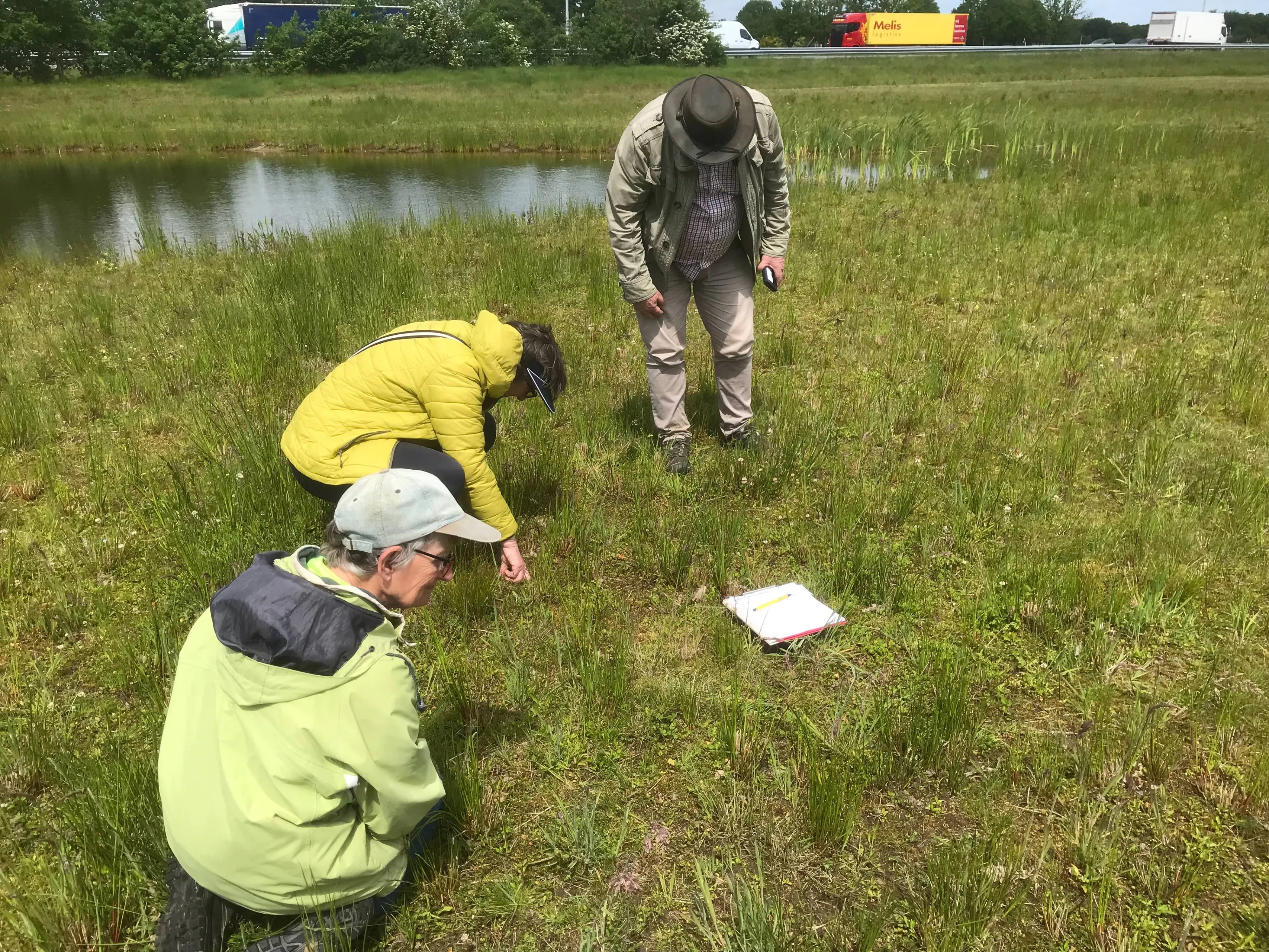 3 2026-04-26c_2024-04 Planten-inventarisatie - Klini-Hermien-Peter -  IMG-5302