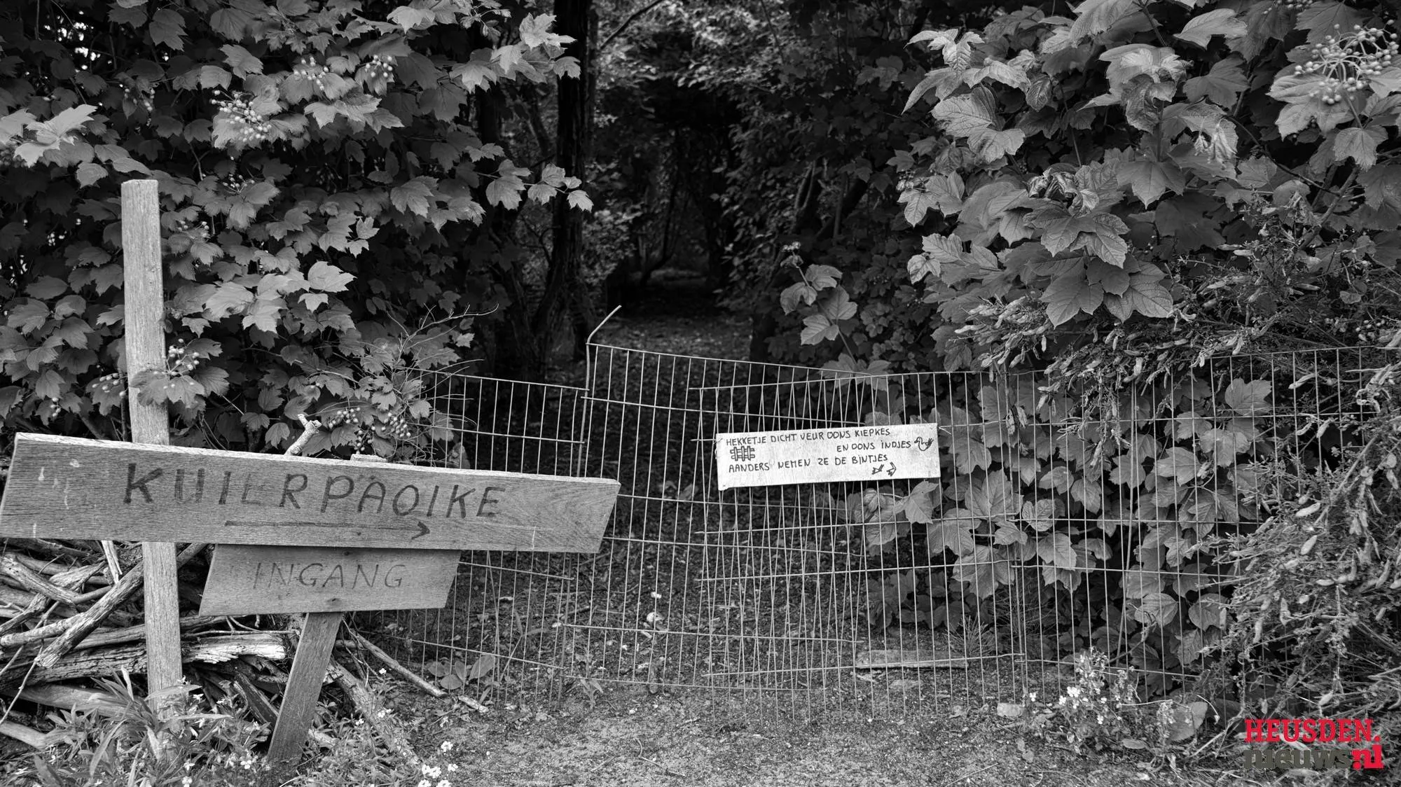 WGZ_6622-Kuierpaoike-zw