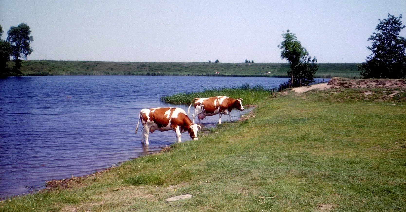 Onsenoort