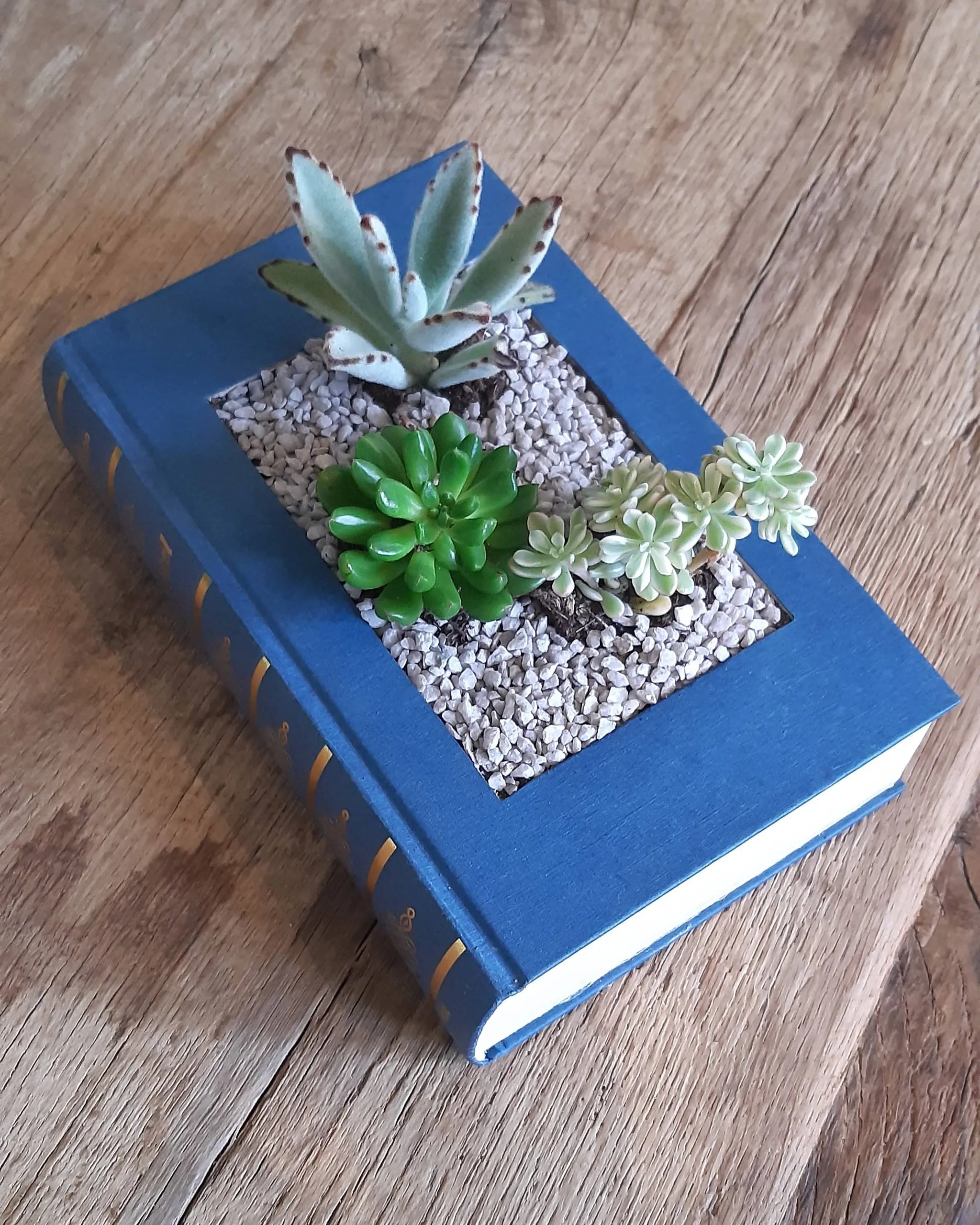 Workshop plantjes in een boek (bewerkt)