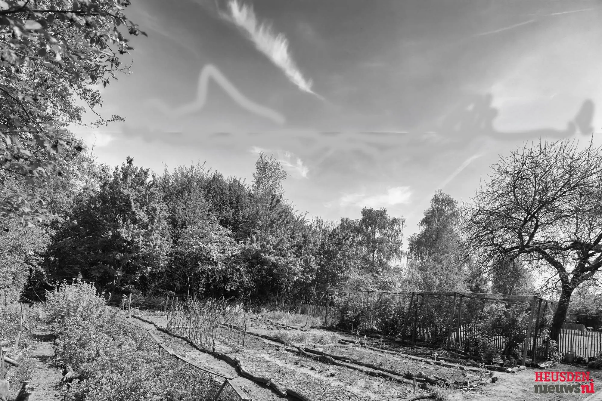 boomen over boomen