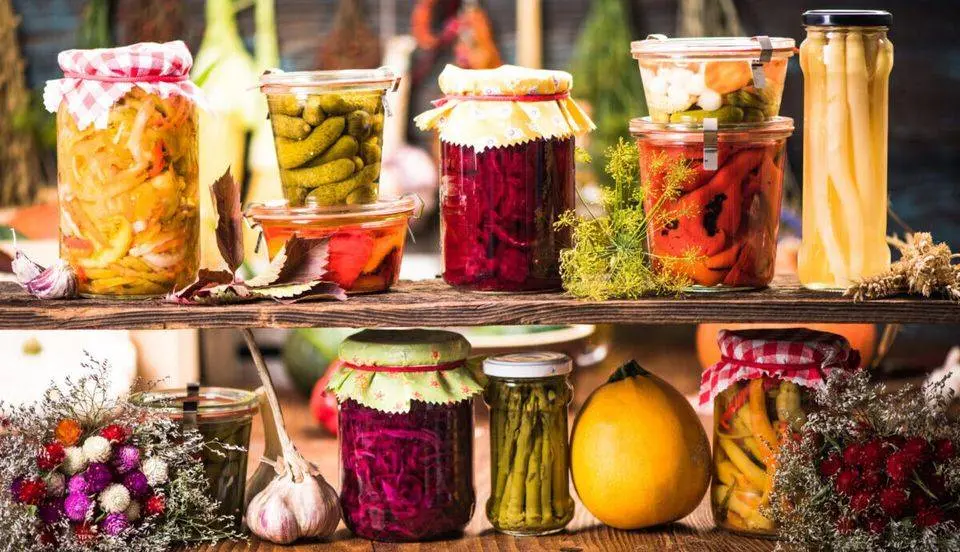 drogen-fermenteren-inmaken