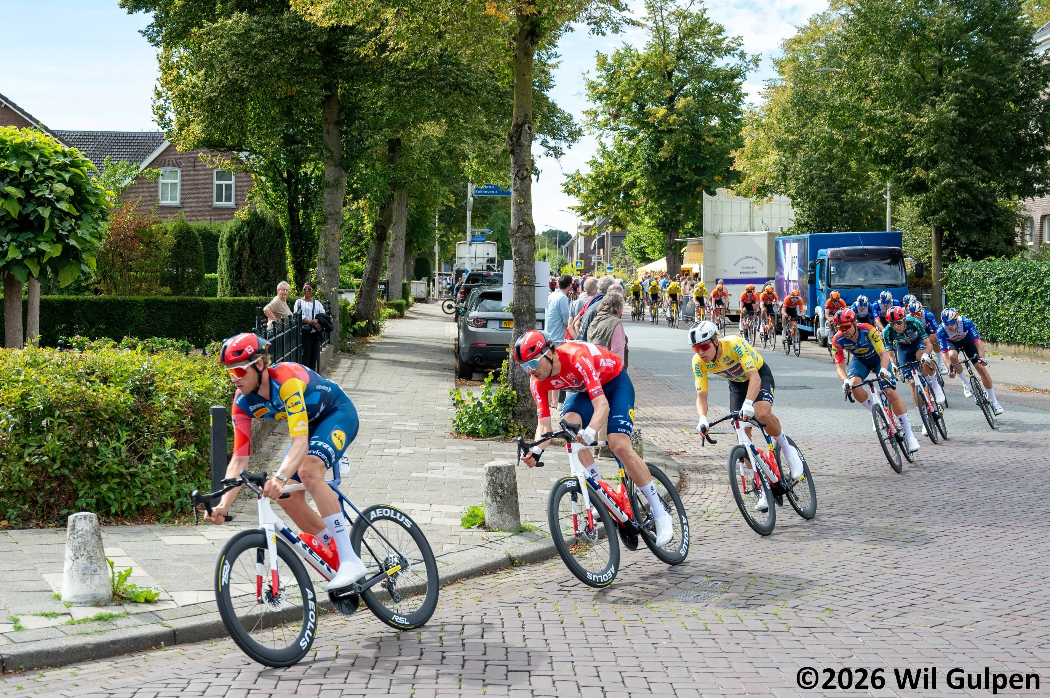 WG6_1423 ©2026 Wil Gulpen Fotografie