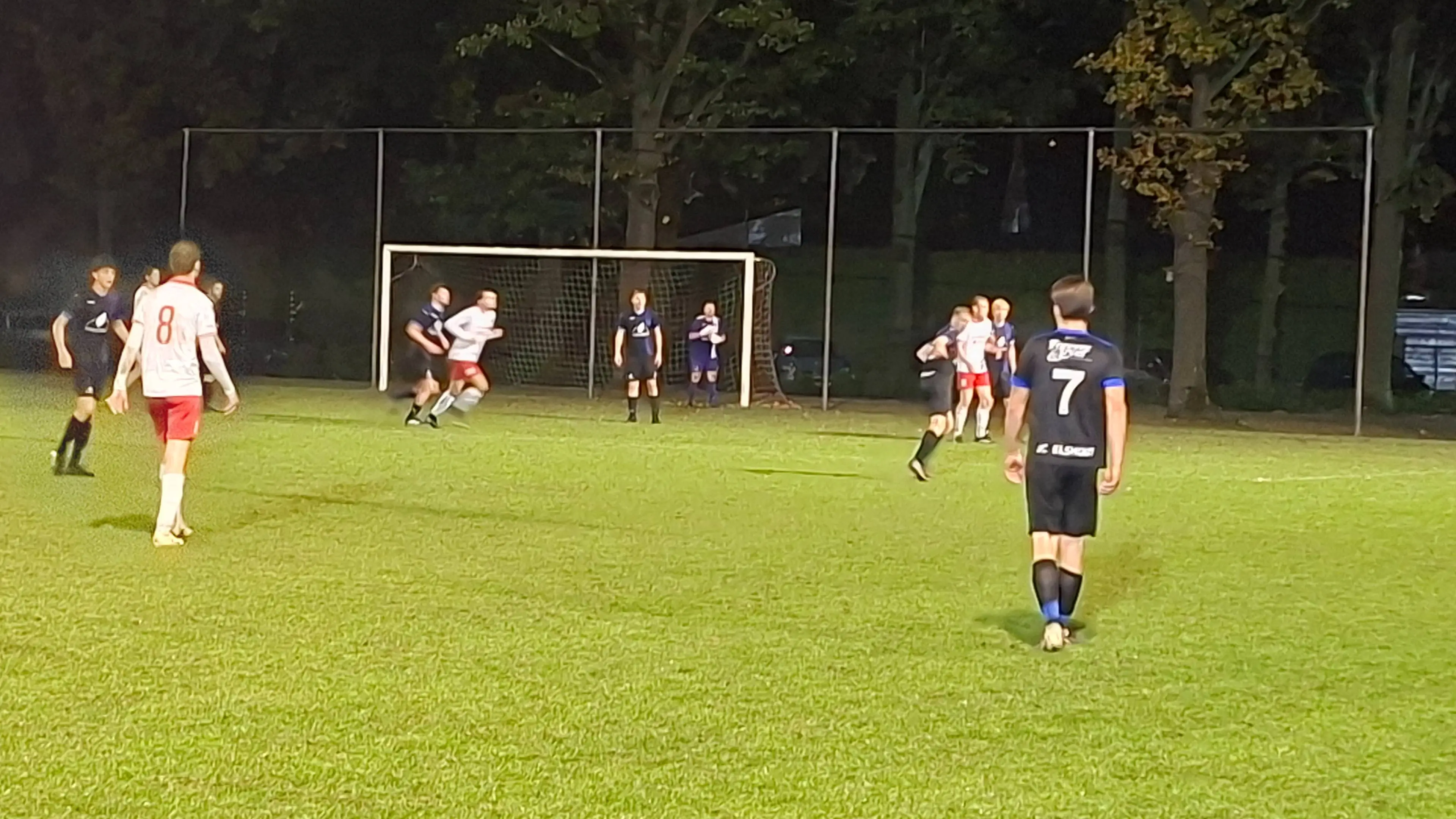 EDN1-SCElshout1