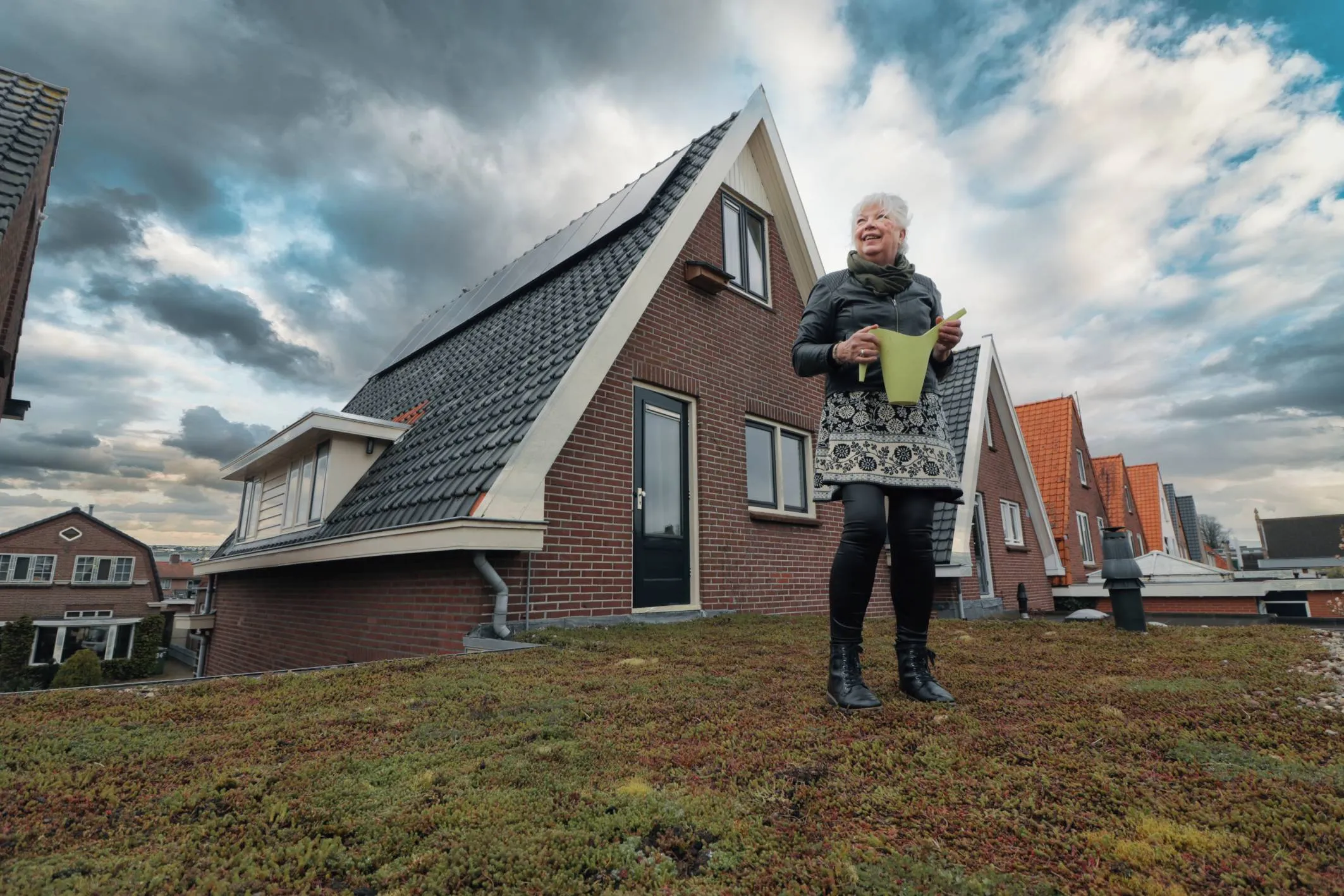 wdod groen dak van grietje loof