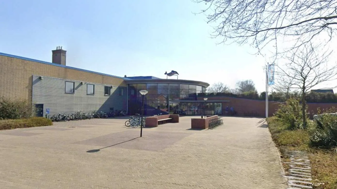 zwembad de dolfijn hoogeveen