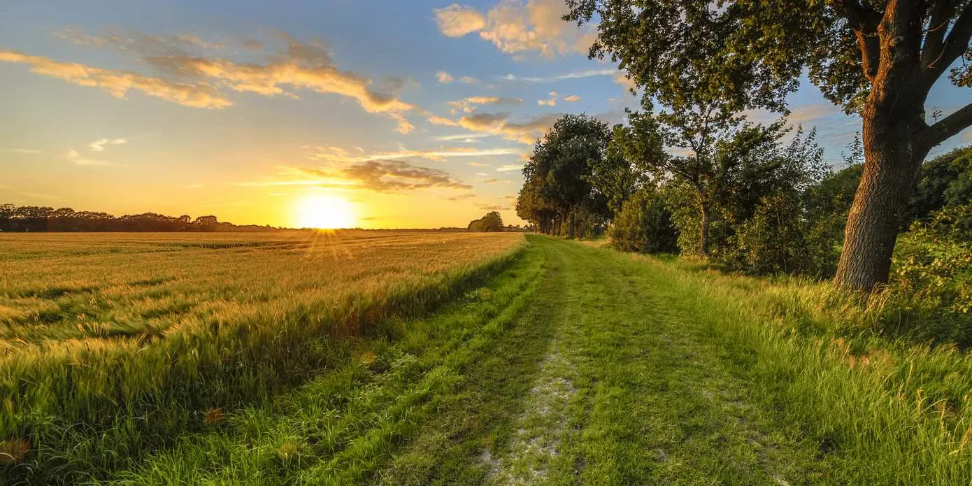 zomer1