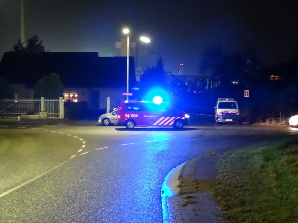 brand regelink 08122015 4 custom