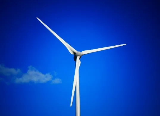 schermafbeelding 2021 11 24 om 121806