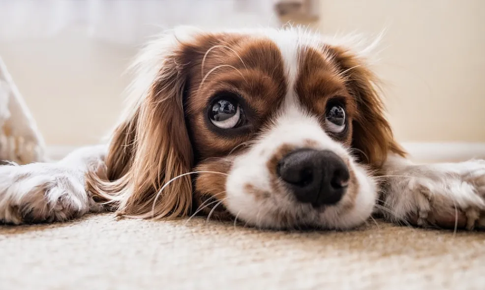 schermafbeelding 2022 06 27 om 100430