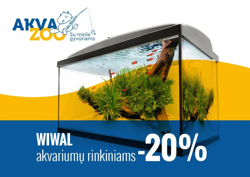 13 akva zoo