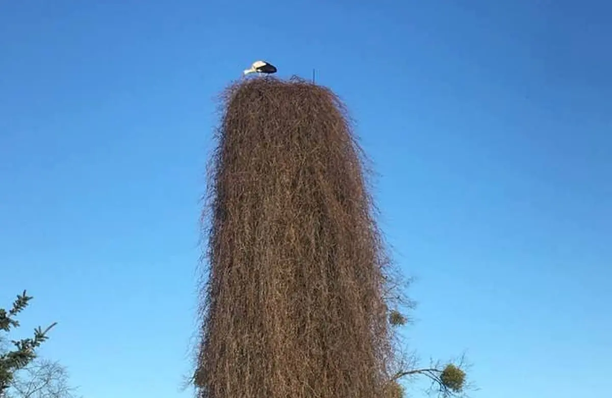 30264960 10211564951946905 5003324243400720384 n2 1