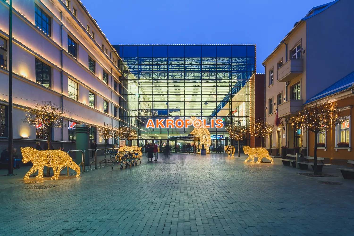 akropolis pagrindine