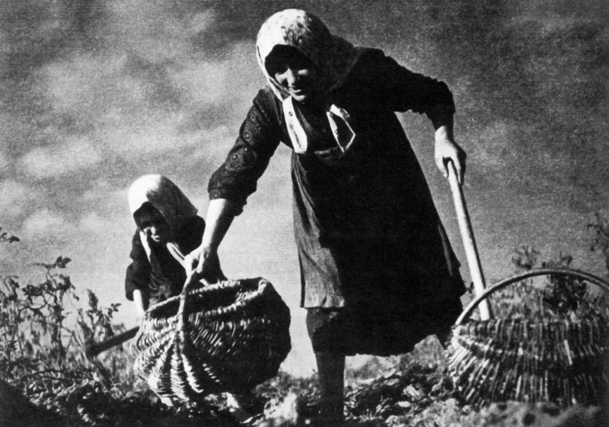 antanas narueviius bulviakasis 1937