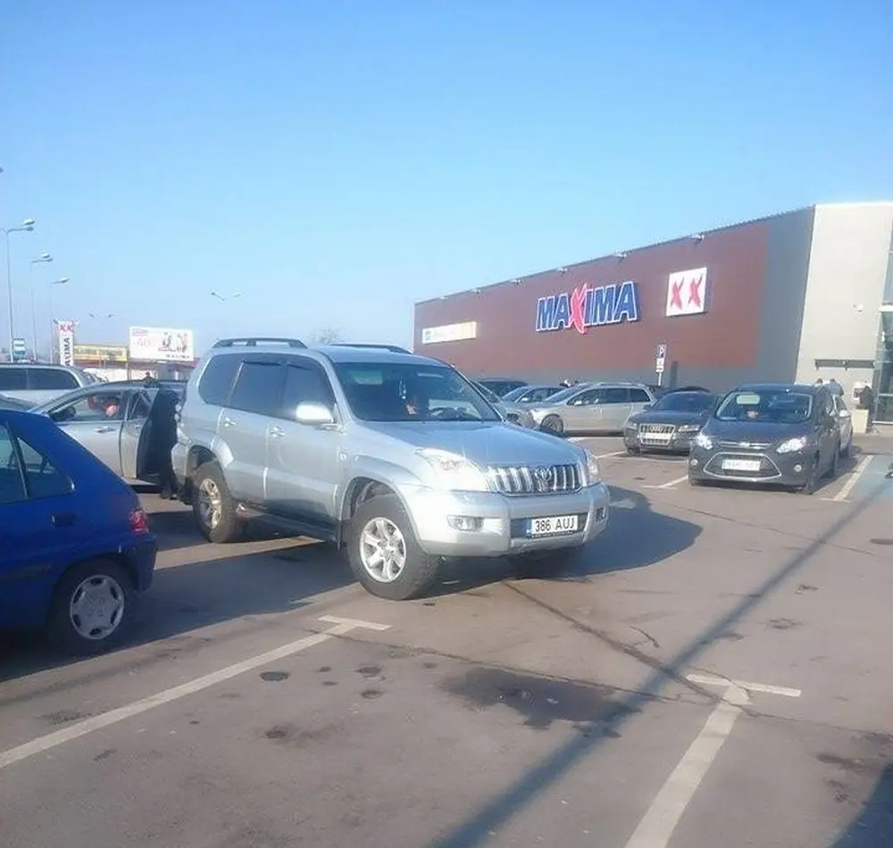 atvykeliai