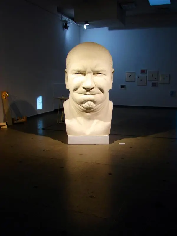 augustinas kluoda kauno bienal 2013