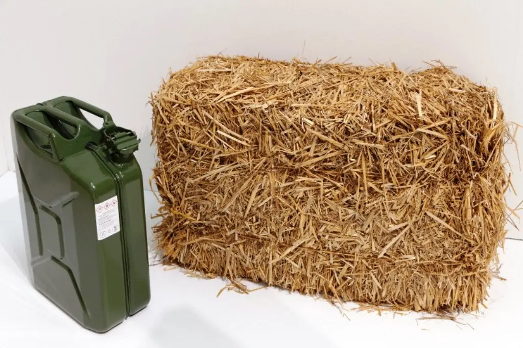 biodegalai