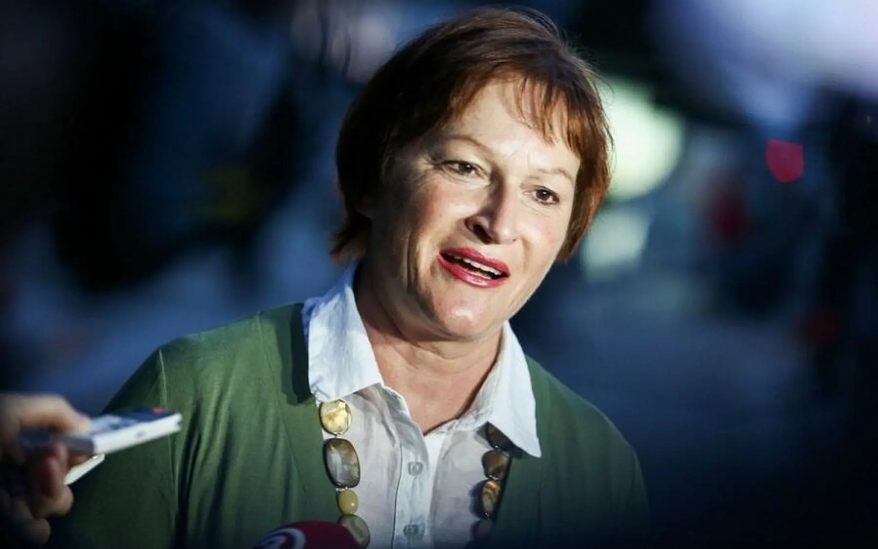birute vesaite