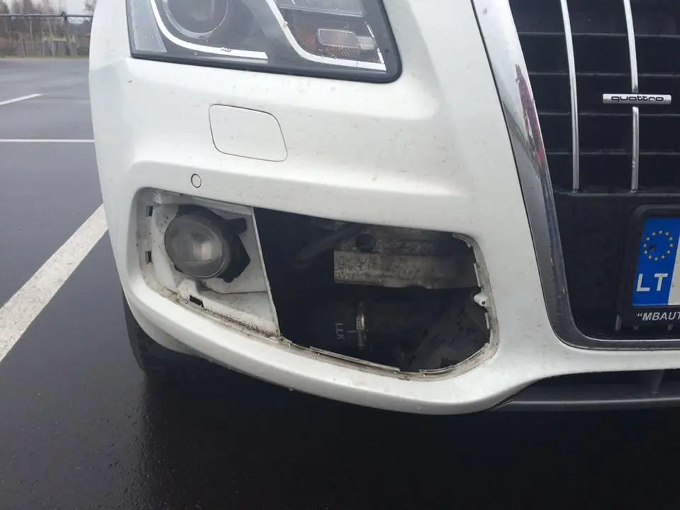 bunks audi