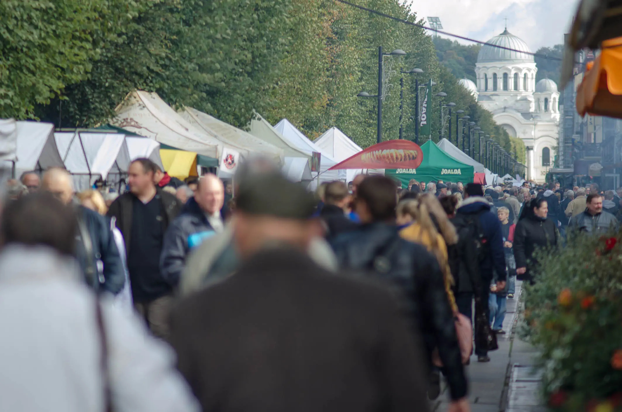derliaus mug 13