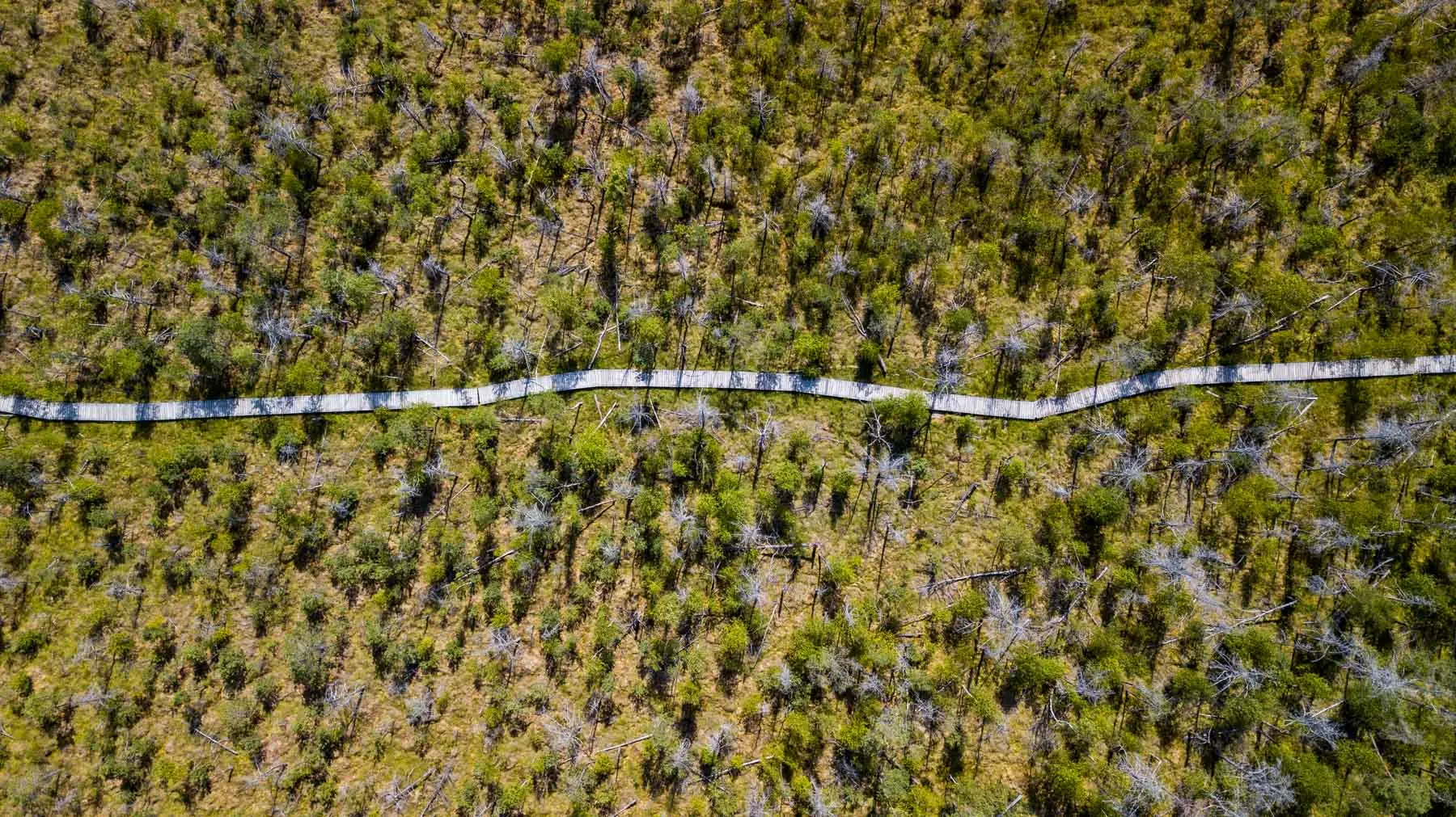 dji 0500