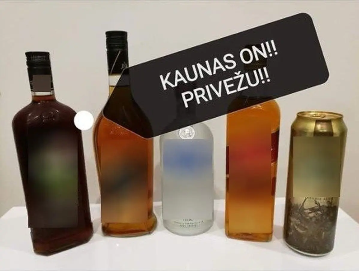 eksperimentas delfi 1 1