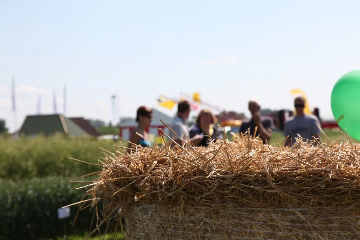 ems kio parodos agrovizija akimirkos38