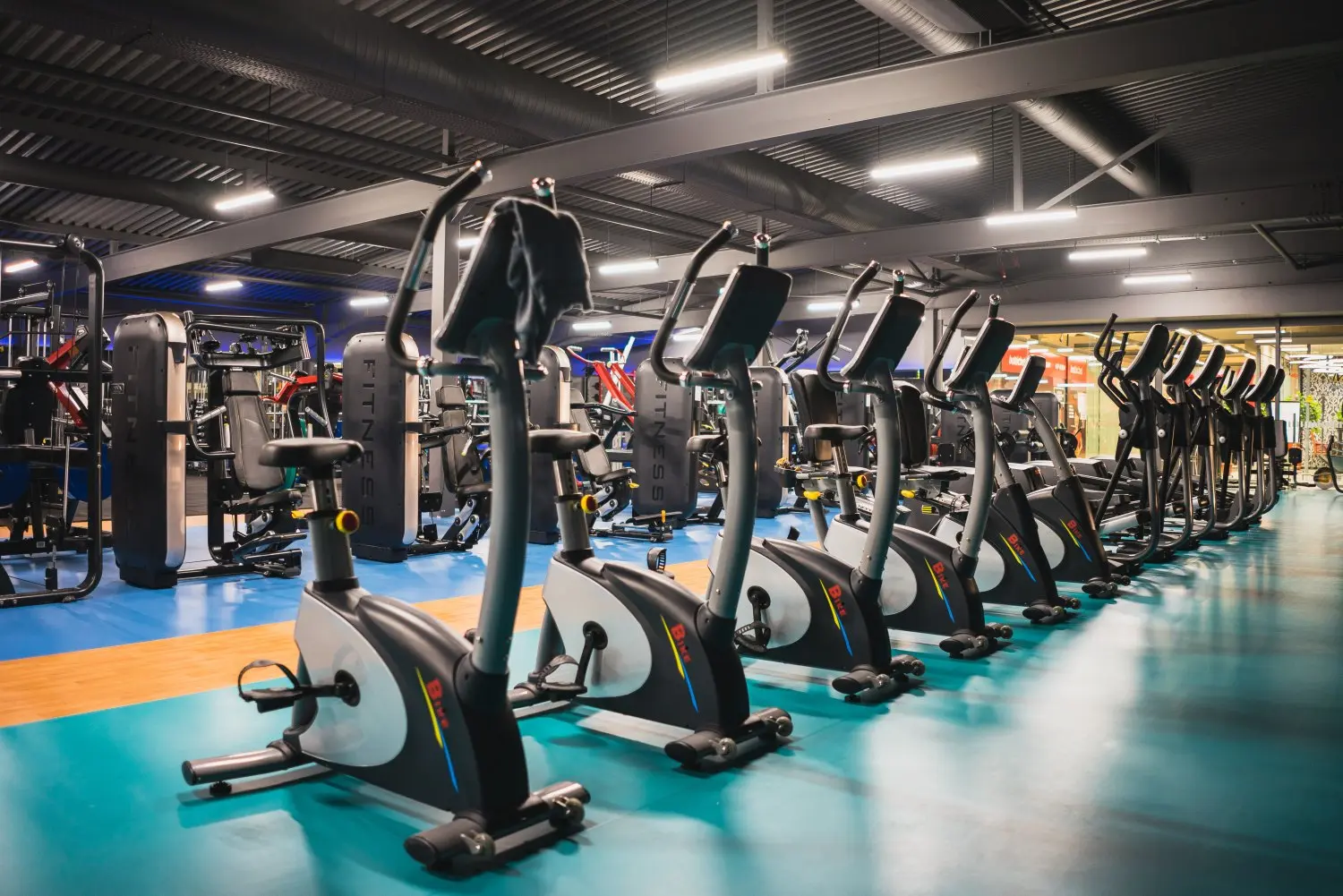 gymplius19
