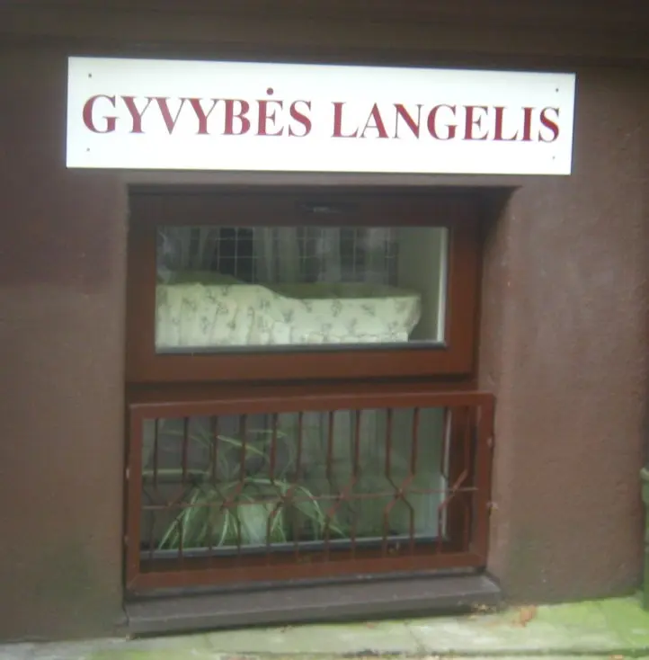 gyvybes langelis