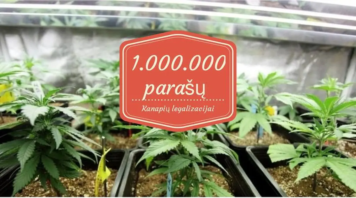 kanapi legalizacija
